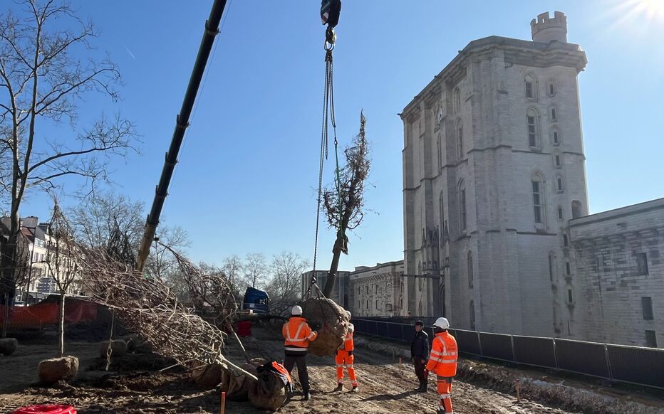 Vincennes : Les nouveaux arbres atterrissent sur l'esplanade du